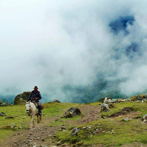 Plimbare cu calul la Brasov